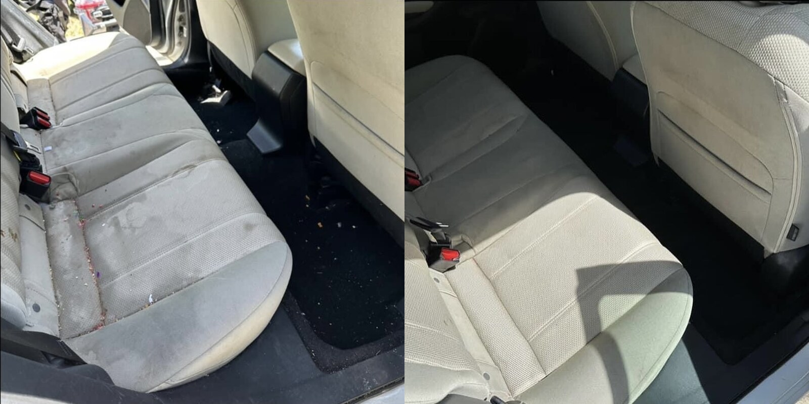 Seat & Carpet Shampooing