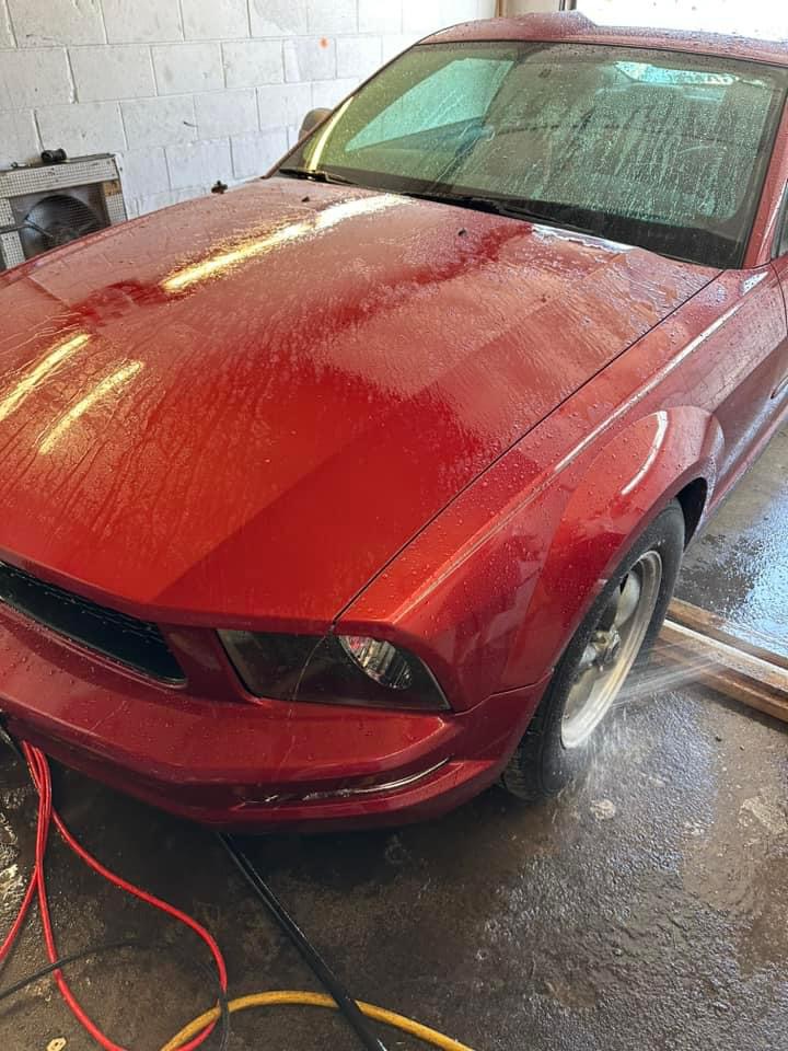 Ford Mustang GT foam bath & decontamination